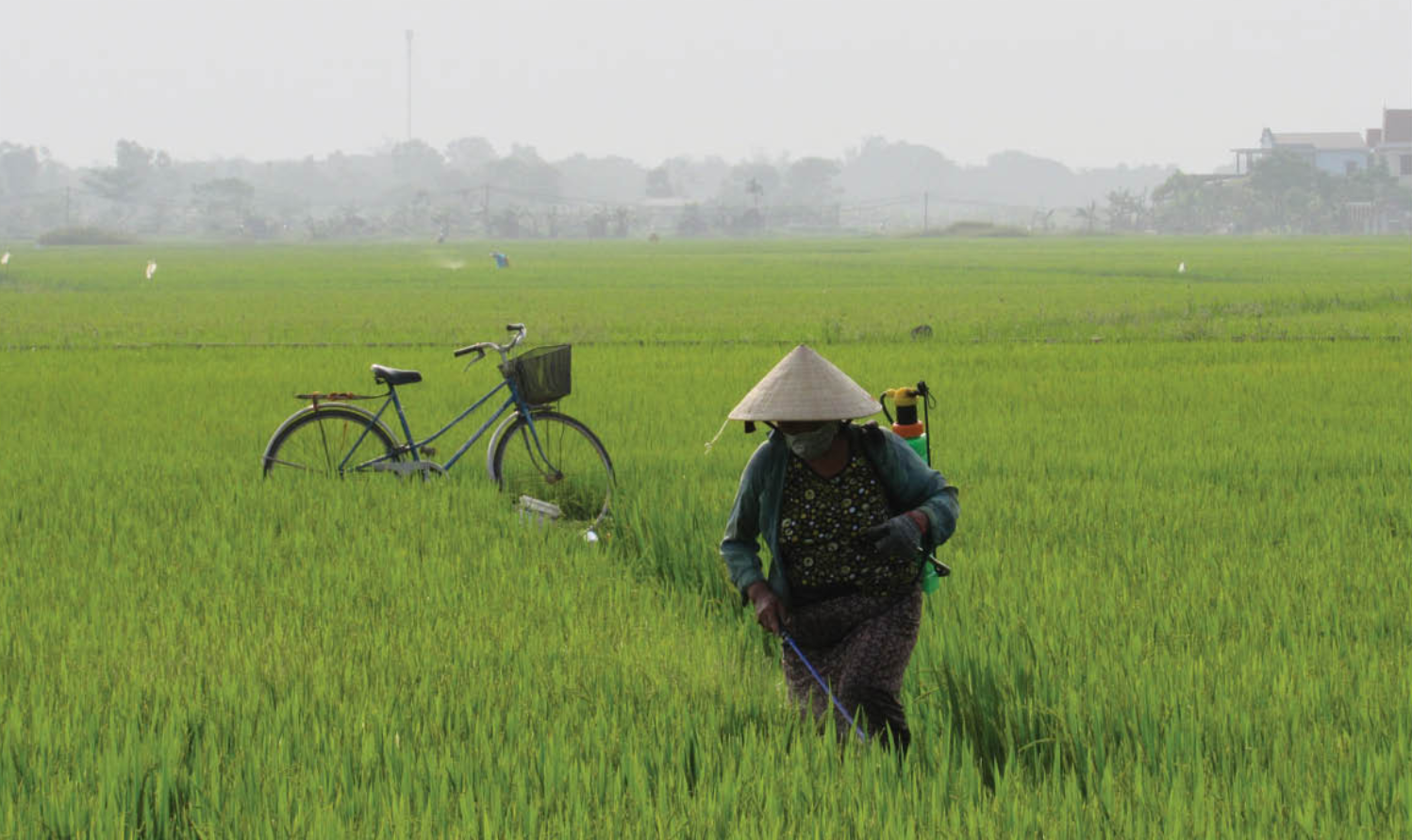 ô nhiễm nguồn nước từ hoạt động sản xuất nông nghiệp tại Nghệ An